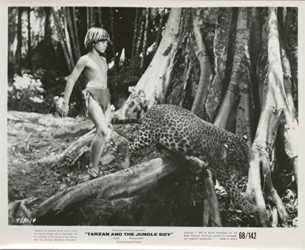 Tarzan and the Jungle Boy (1968)
