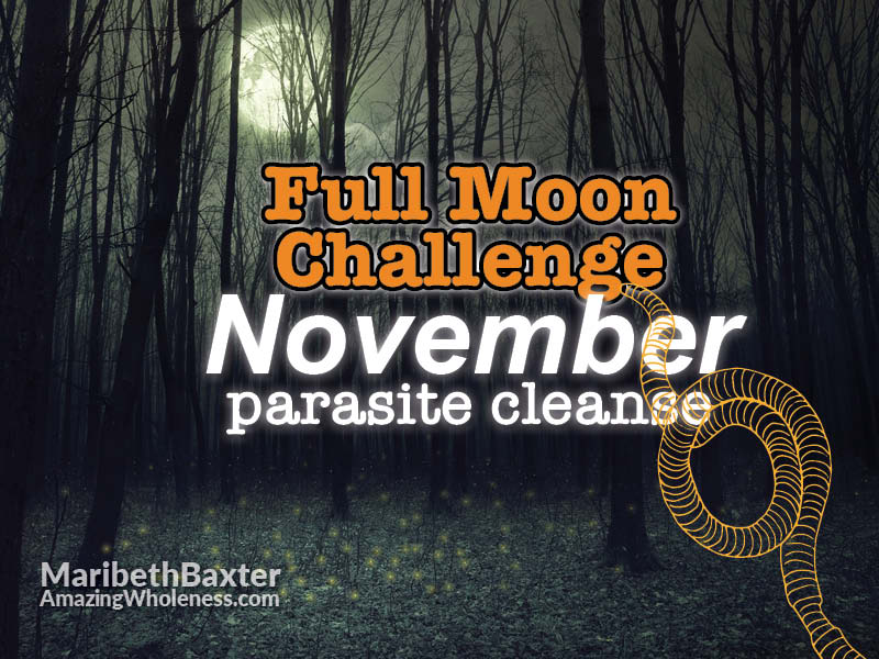 Full Moon Challenge November 2019 - Amazing Wholeness