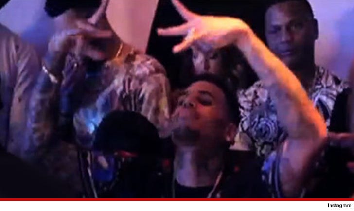 Chris Brown -- He's No Gang Member -- But Bloods Are Cool With Him ...