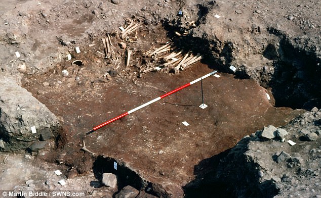 Mass grave may be burial site of Viking Great Army dead | Daily Mail Online