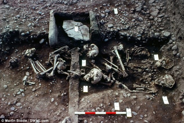 Mass grave may be burial site of Viking Great Army dead | Daily Mail Online