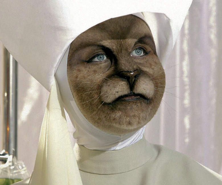 The Sisters of Plenitude are humanoid cats who run the New Earth ...