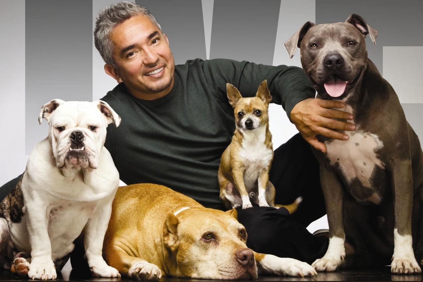 Pin on Cesar millan