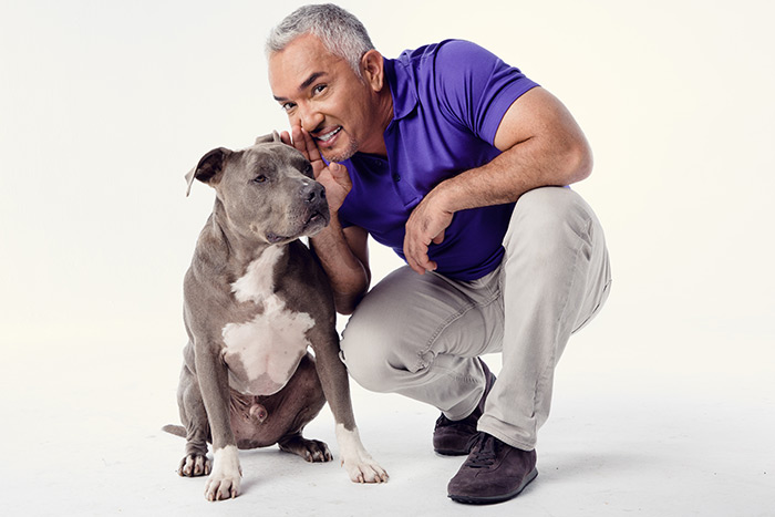 Cesar Millan Connects Dogs and Man at WHBPAC - Dan's Papers