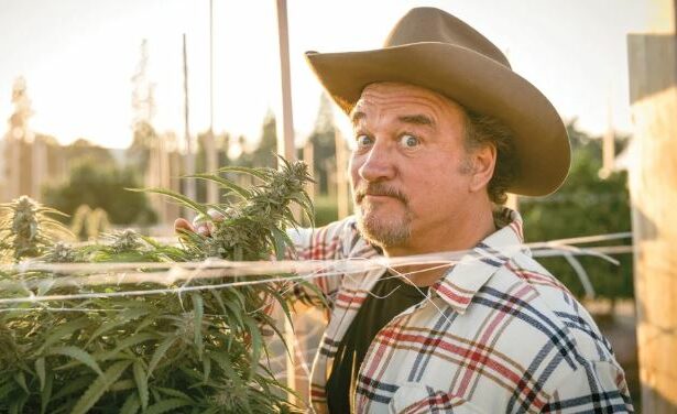 Curious about the Status of Growing Belushi? Here's What You Need to Know.