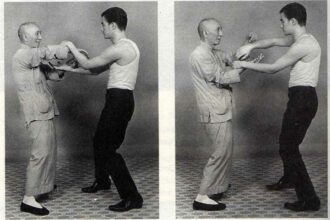 The Truth About Whether Ip Man Was the Mentor of Bruce Lee