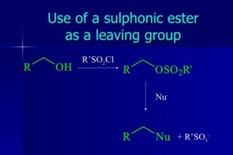 The Function of a Leaving Group in Ester Reactions: Understanding its Role.