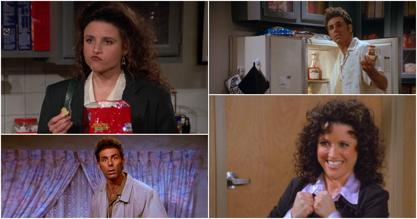 Seinfeld: 10 Reasons Elaine & Kramer Would Have Been The Perfect Couple