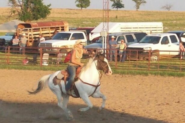 The Equine Collection of Miranda Lambert: How Many Horses Does She Own?