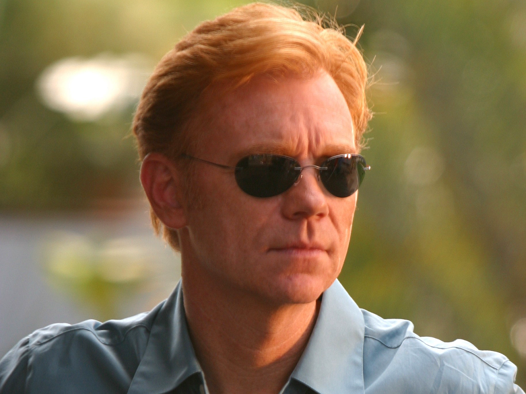 The Net Worth of Horatio Caine: How Rich is He?