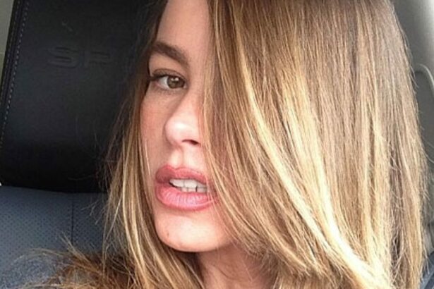 The Truth Behind Sofia Vergara's Hair Color: Natural or Dyed?