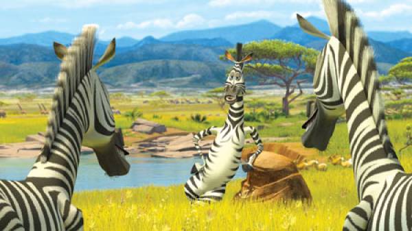 Chris Rock Zebra Madagascar / Madagascar 2005 Imdb / Find funny gifs ...