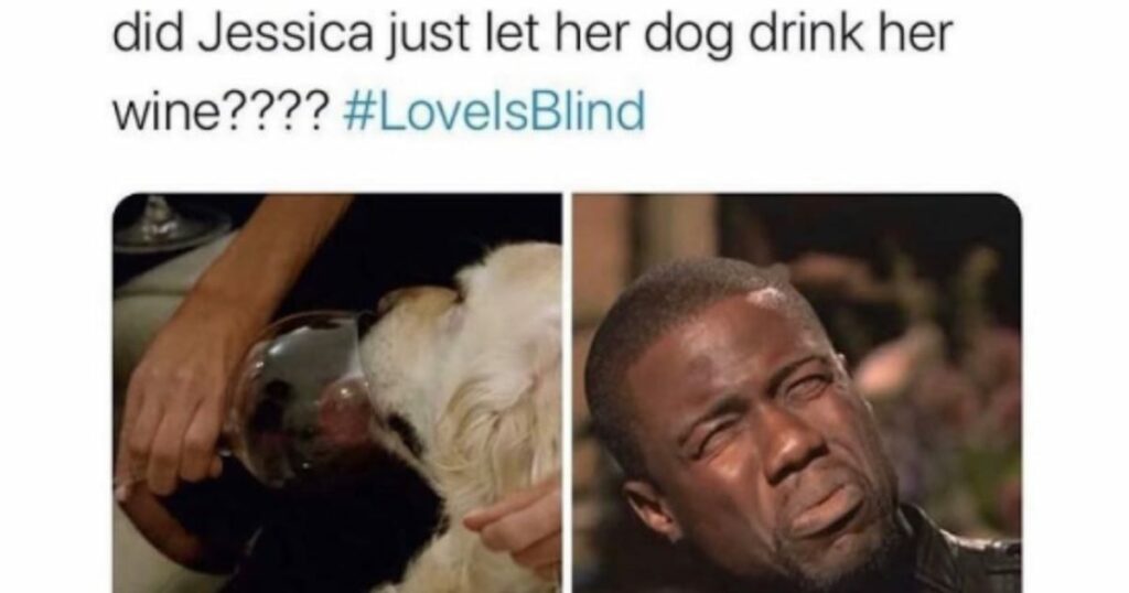14 'Love Is Blind' Memes Just for the Fans