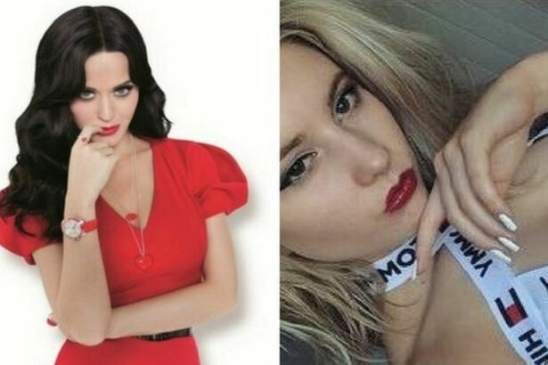 Did Katy Perry Appear on Catfish?