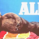 Decoding the Meaning of ALF - An Insight into what ALF Actually Stands For