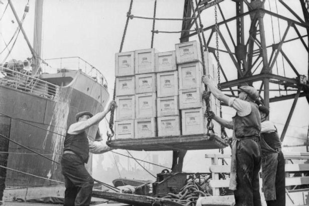 Understanding the Role of Dock Workers.