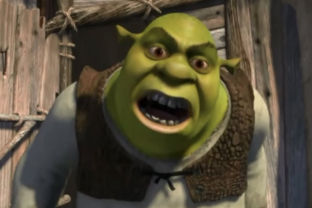 The Meaning Behind the Pop Culture Term 'Shrek'