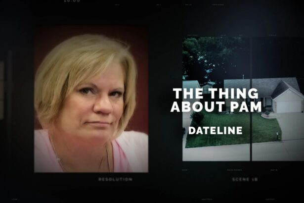 Which streaming service offers The Thing About Pam?