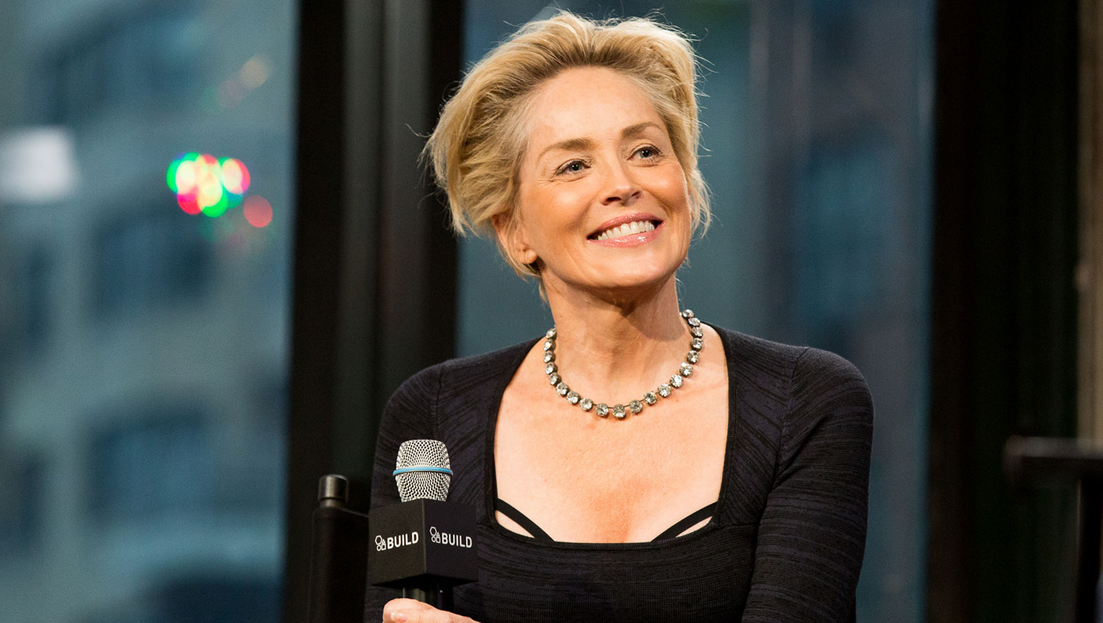 What was Sharon Stone's IQ? Biograph Co Celebrity Profiles