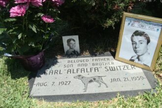 Unraveling the mystery behind the death of Alfalfa.