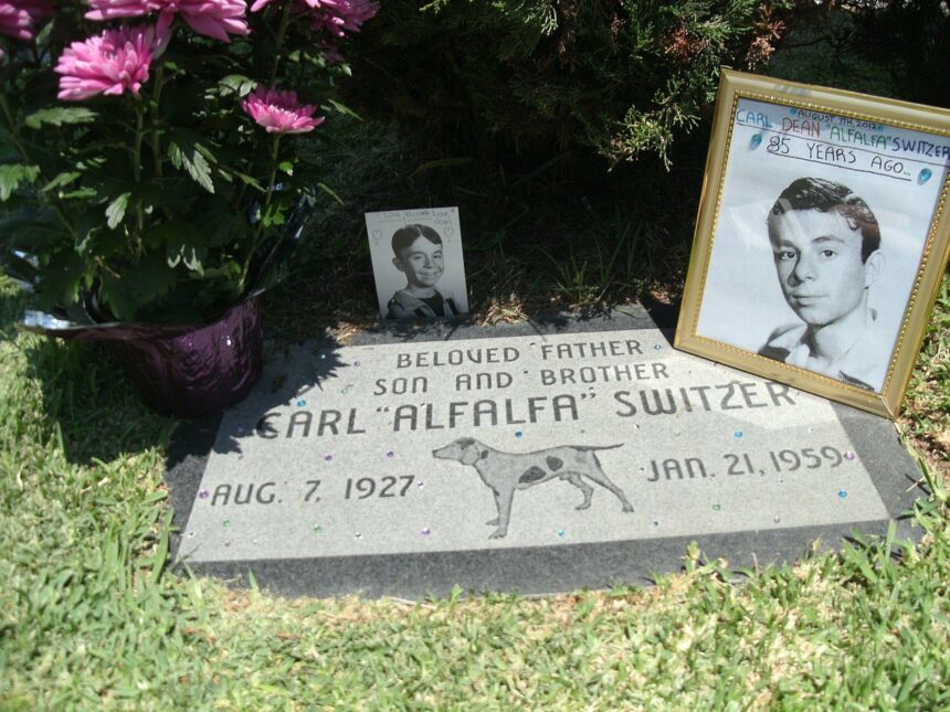 Unraveling the mystery behind the death of Alfalfa.