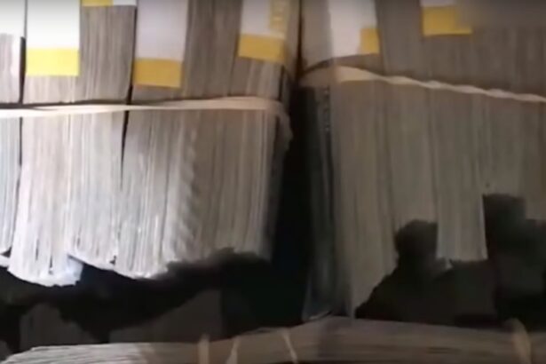 Mystery Solved: The Buyer of the $7.5 Million Storage Unit Revealed!