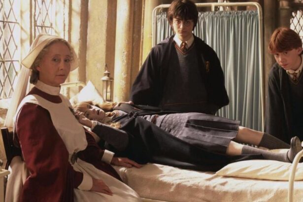 The Harry Potter Characters Who Appear on Screen the Least