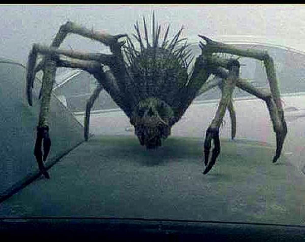 THE MIST Movie Creatures!!! - HubPages