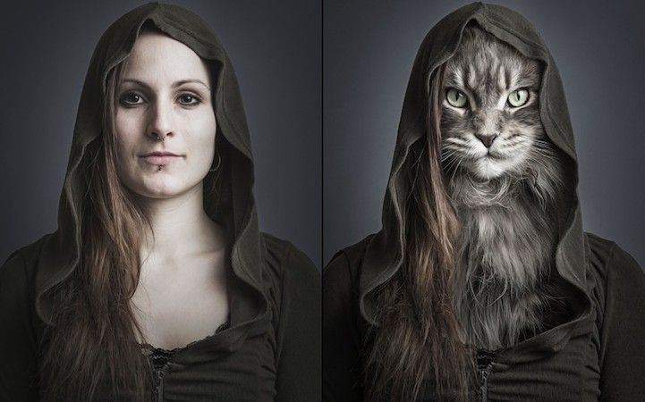 Human-Cat Hybrids : human-cat hybrids