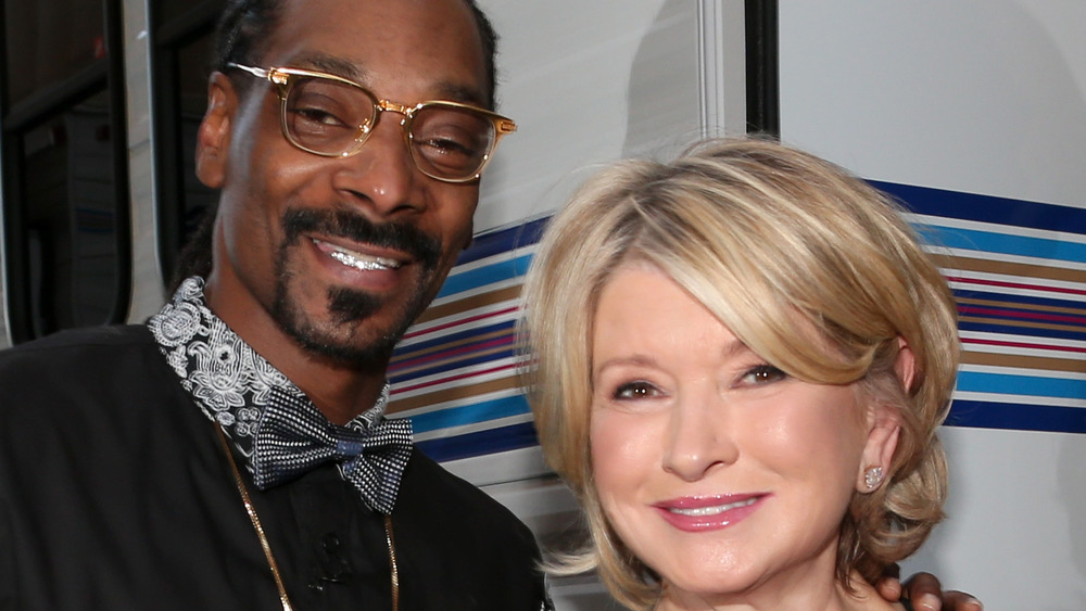 Inside The Strange Friendship Between Snoop Dogg And Martha Stewart