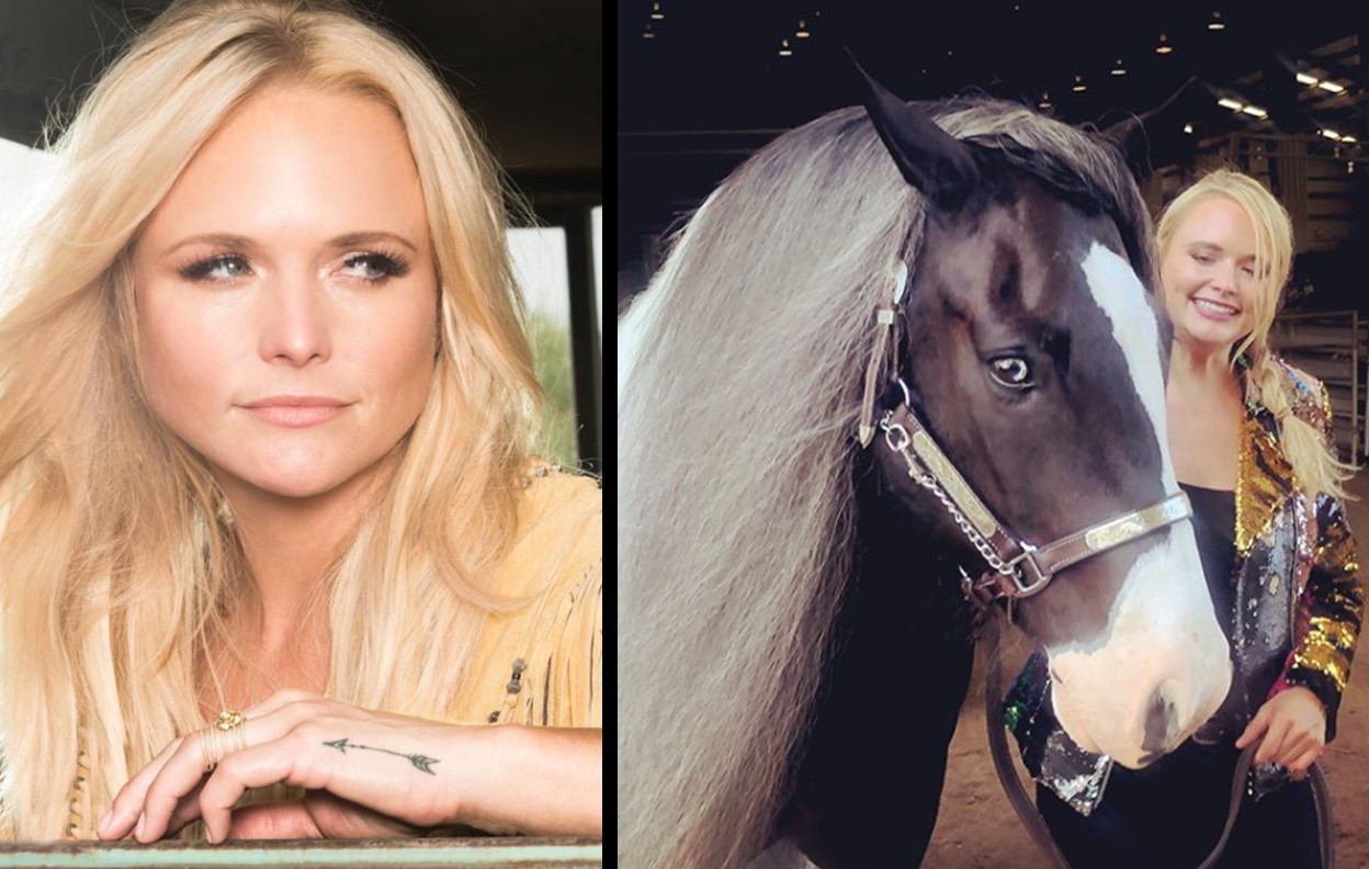 Miranda Lambert's Gypsy Vanner Horses Score Ribbons [Pics]